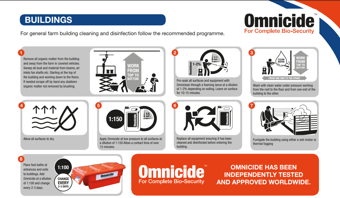 'Video thumbnail for Omnicide Revamped - A World Covered In Extinction Due To Human Action?'