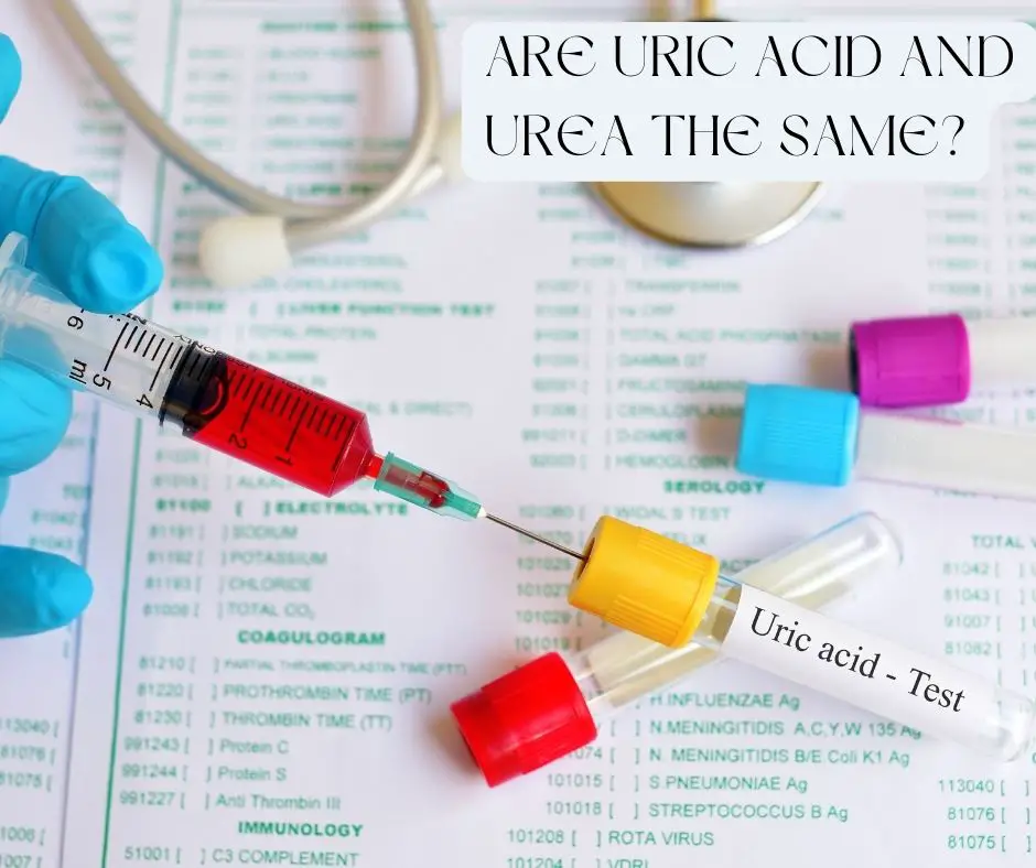Are uric acid and urea the same?