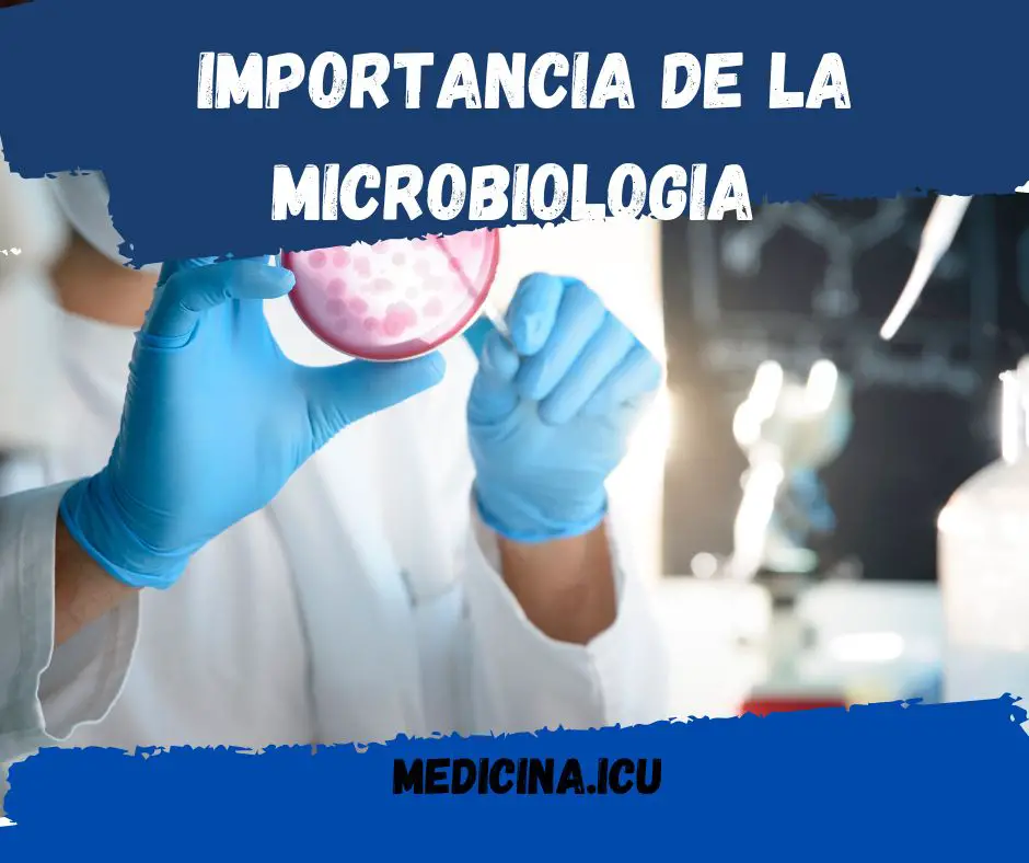 Importancia de la microbiologia para la medicina, agricultura y farmacia